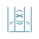 Criminal Records Check - National & Local Level